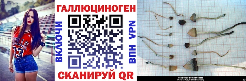Псилоцибиновые грибы прущие грибы Батайск